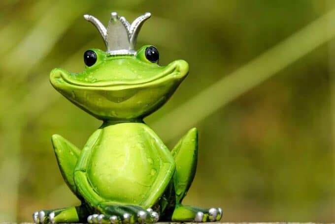 Nie połykaj żaby, zmień ją w księcia
